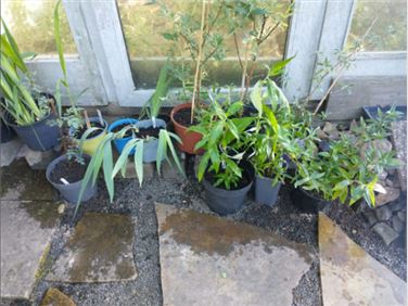 Abbildung: Garten verschönern
